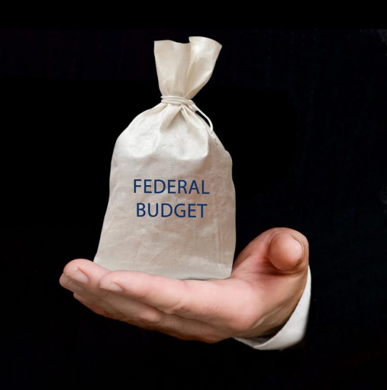 Bag with federal budget